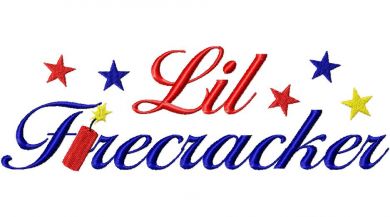 Lil-Firecracker-6X10-Hoop.jpg